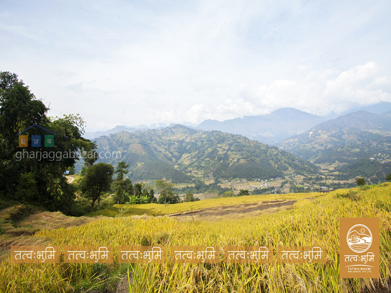 Land on Sale at Katheri Nuwakot